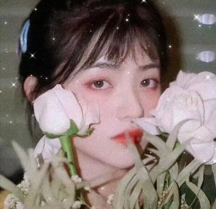 我的美国心