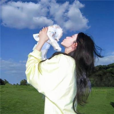 九龙城寨之卧虎藏龙